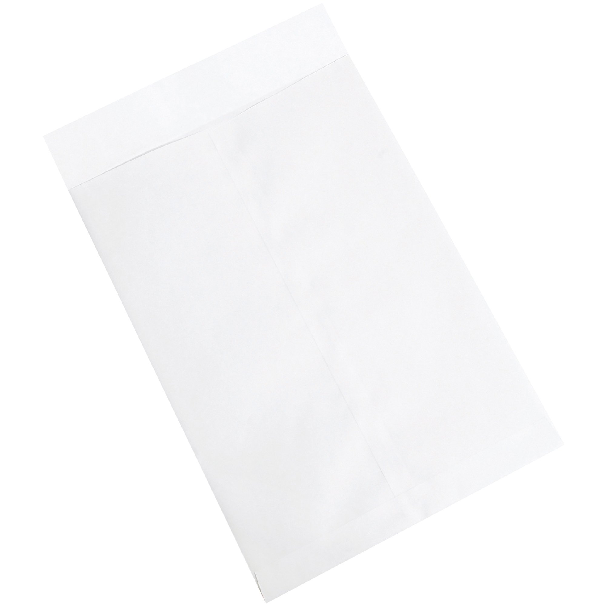 Aviditi Jumbo Envelopes 12.5