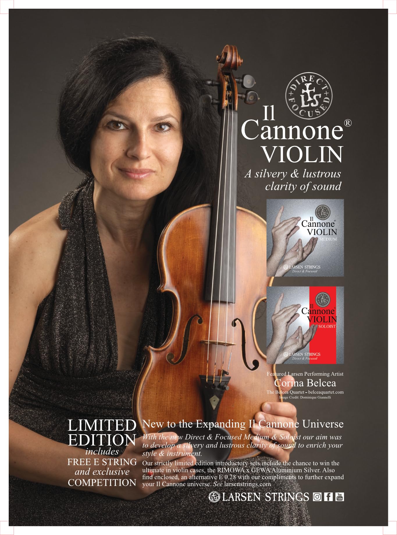 LARSEN STRINGS Violin Strings Il Cannone Set - Soloist Direct & Focused Sound for Professional Violinists | Perfect for Concerts, Studio Recording & Solo Performances