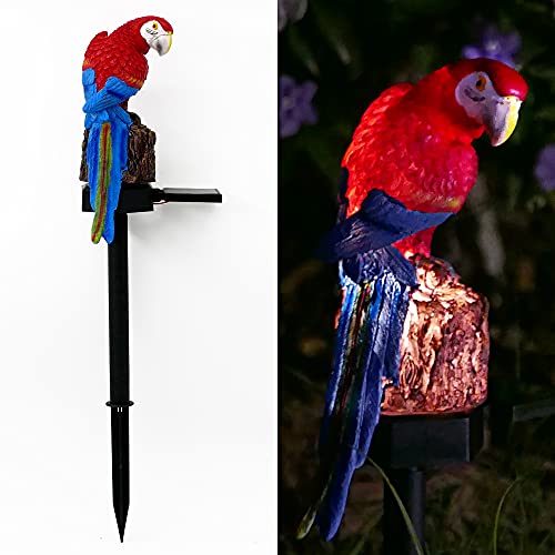 Red Parrot Decor