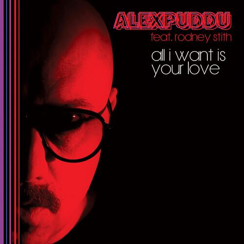 All I Want Is Your Love Vinyl LP Record - Classic Love Songs for Romantic Evenings & Vinyl Collectors
