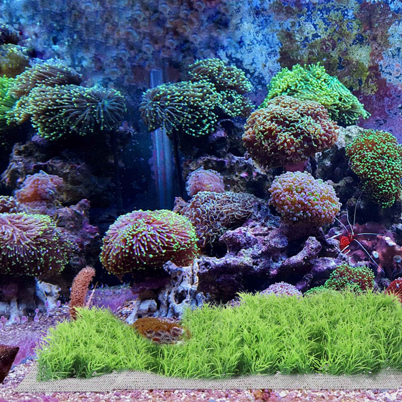 Balacoo 10pcs Stainless Steel Aquarium Mesh Screen - Fish Tank Plants Moss Net for Aquatic Decor, Perfect for Aquascaping & DIY Underwater Gardens
