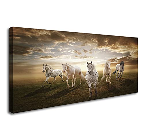 Horses