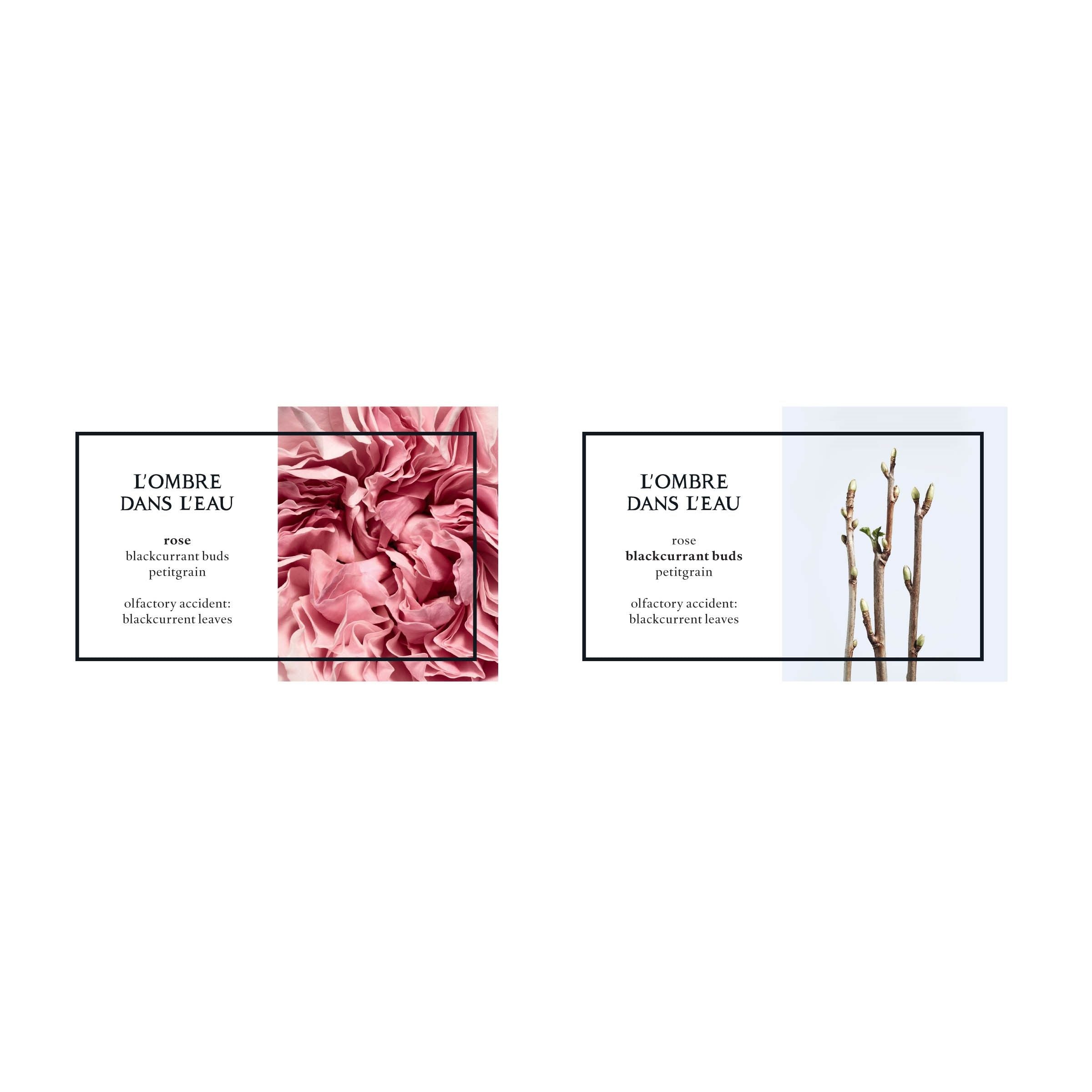 Diptyque L'Ombre Dans L'Eau Eau de Toilette - Blackcurrant & Rose Perfume for Women | Long-Lasting Fragrance for Date Night & Special Occasions