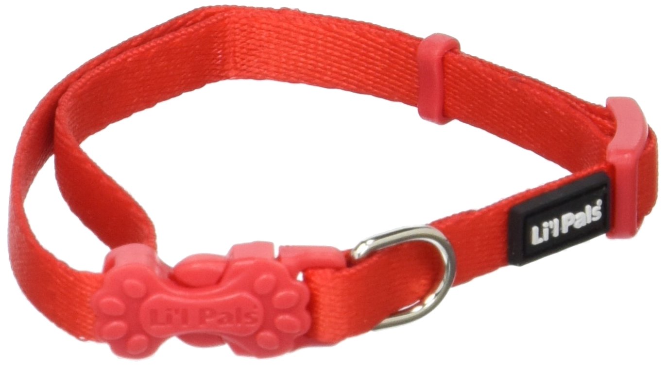 Coastal Pet Products DCP222RED 5/16-Inch Nylon Pals Dog Collar - X-Small, Red - Adjustable & Durable Pet Collar for Small Dogs - Perfect for Daily Walks, Training & Outdoor Adventures