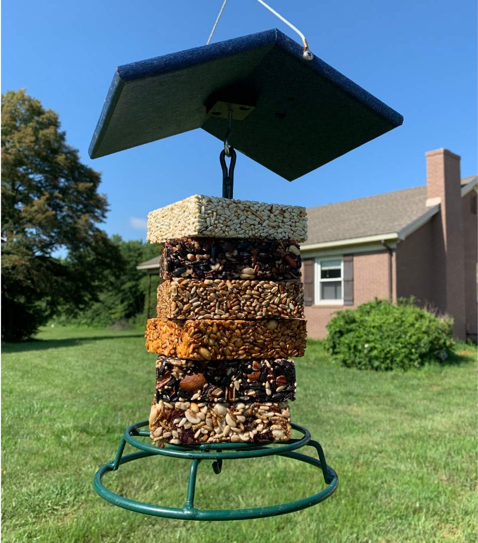 12-Pack Mr. Bird Bugs, Nuts & Fruit Wild Bird Seed Cakes - 6 oz Each - High Protein Bird Food for Wild Birds - Perfect for Bird Feeders, Backyard Bird Watching & Outdoor Nature Lovers