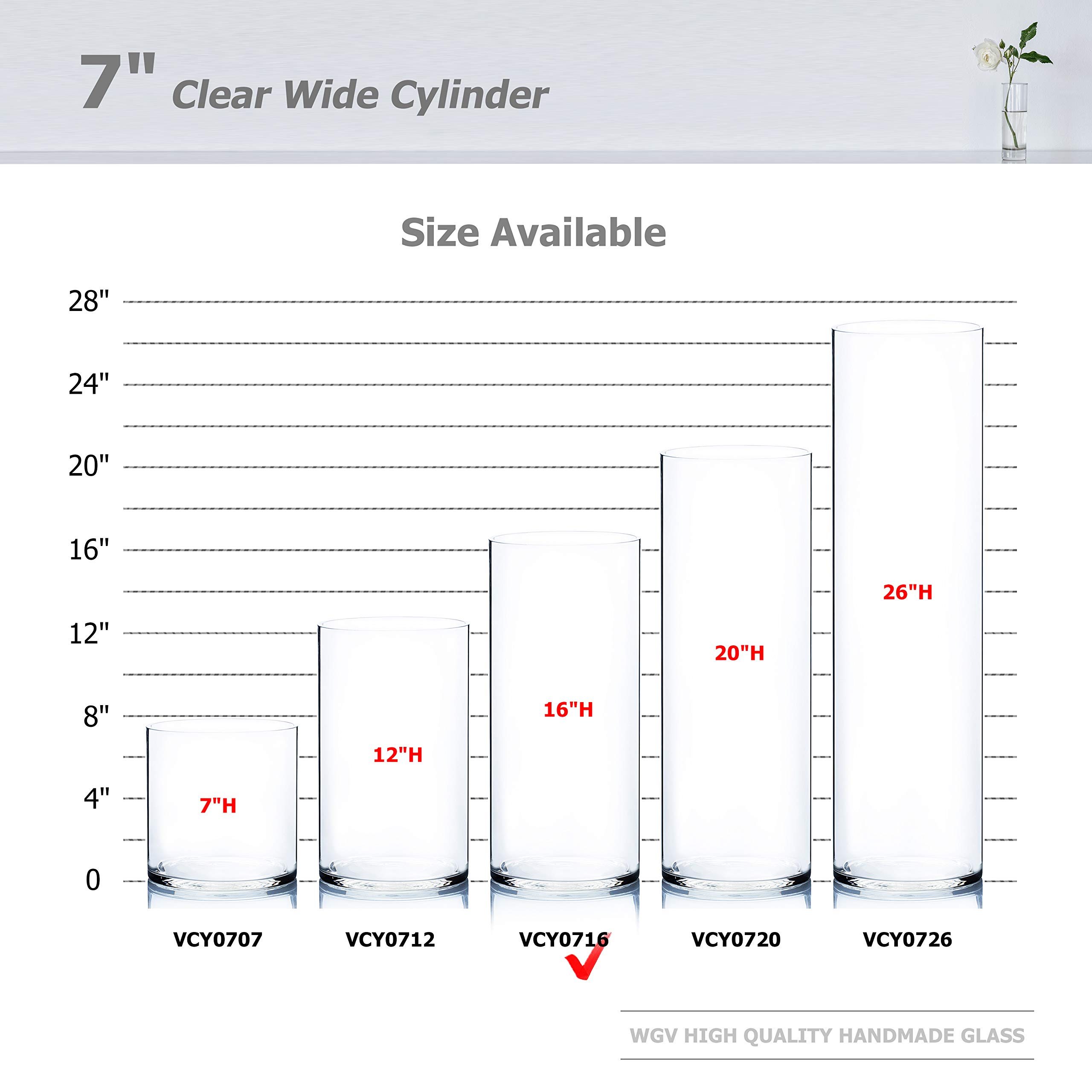 WGV Clear Cylinder Glass Vase - 7