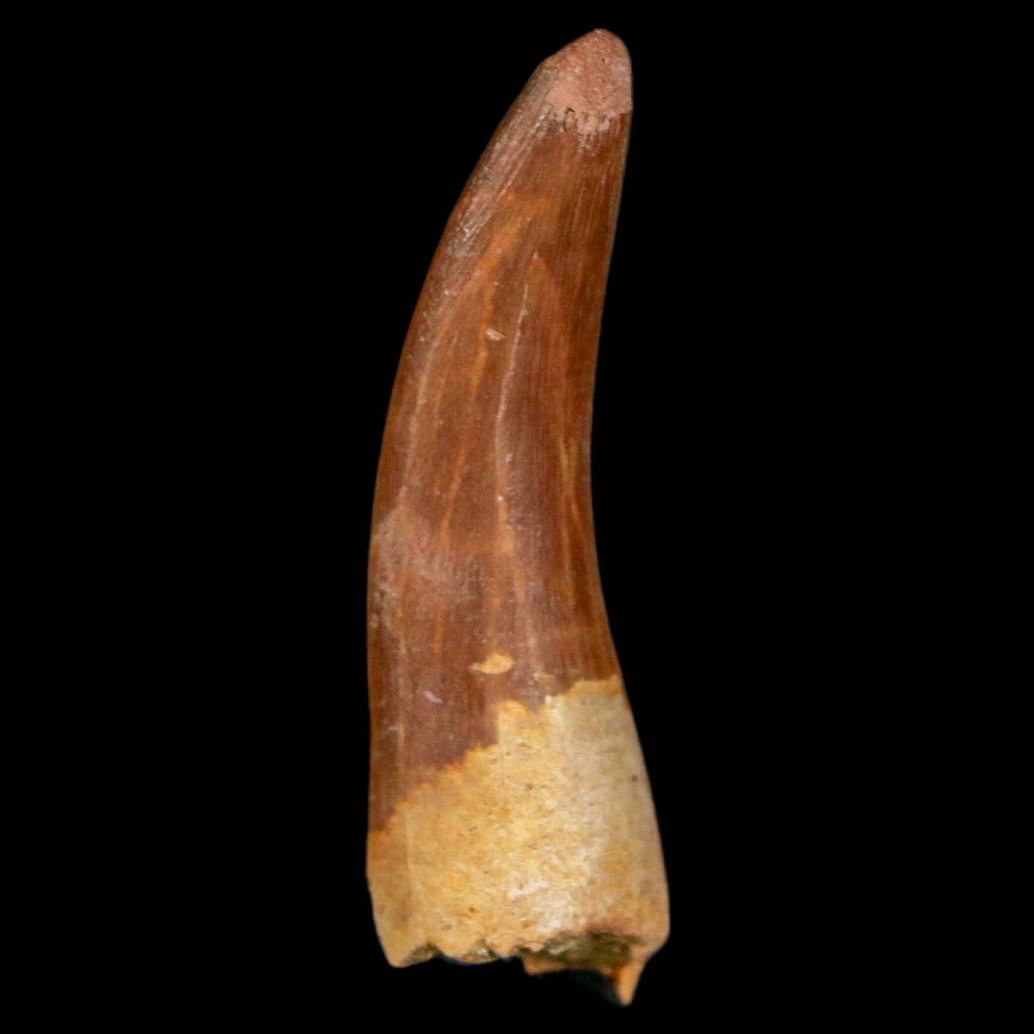 1.7
