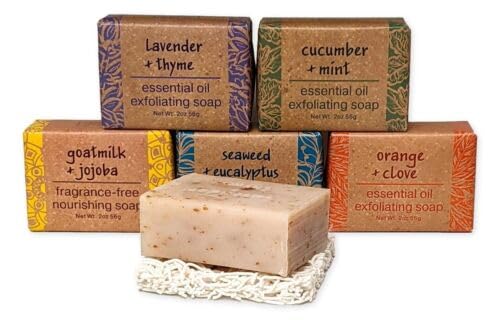 Set of 5 Greenwich Bay Shea Butter Essential Oil Bar Soap 2 oz with Soap Saver - Moisturizing Hand & Body Soap for Dry Skin - Perfect for Bath, Shower & Gift Giving