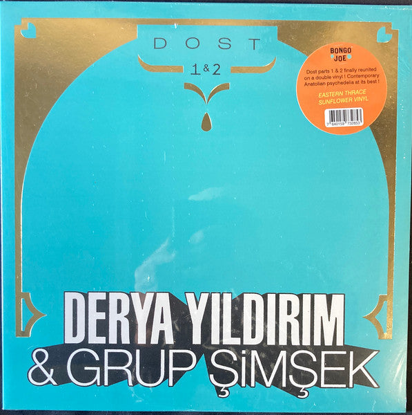 Derya Yildirim & Grup Simsek - Turkish Folk Music Band | Authentic Anatolian Songs for Weddings, Festivals & Cultural Events