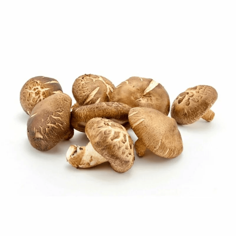 Premium Fresh Shiitake Mushrooms 600g - Organic Japanese Mushrooms for Cooking, Stir Fry, Soup & Asian Cuisine - Perfect for Ramen, Hot Pot & Healthy Recipes