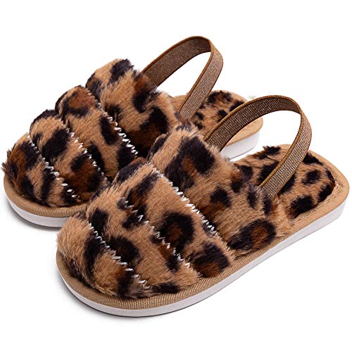 Brown Leopard-closetoe