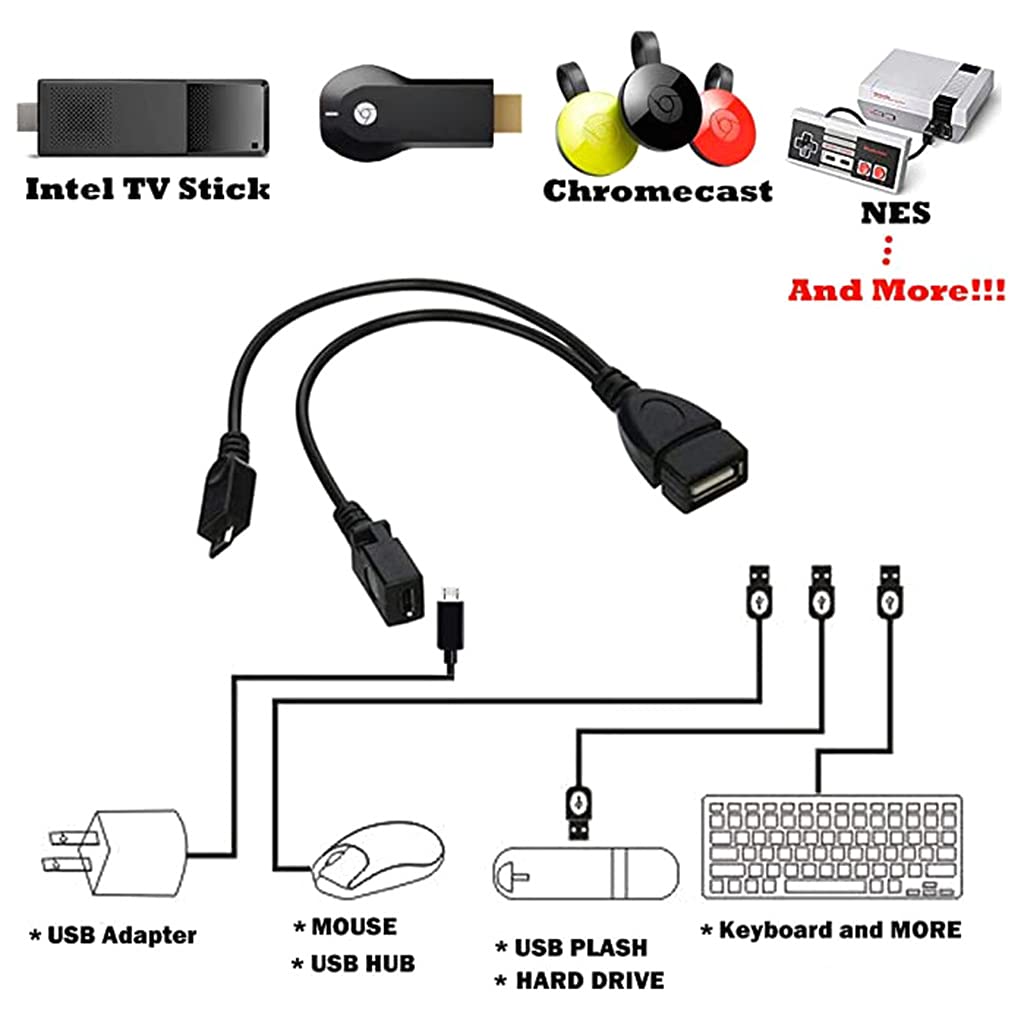 2-in-1 OTG Micro USB Splitter Adapter - Connect Card Reader for Android Phones