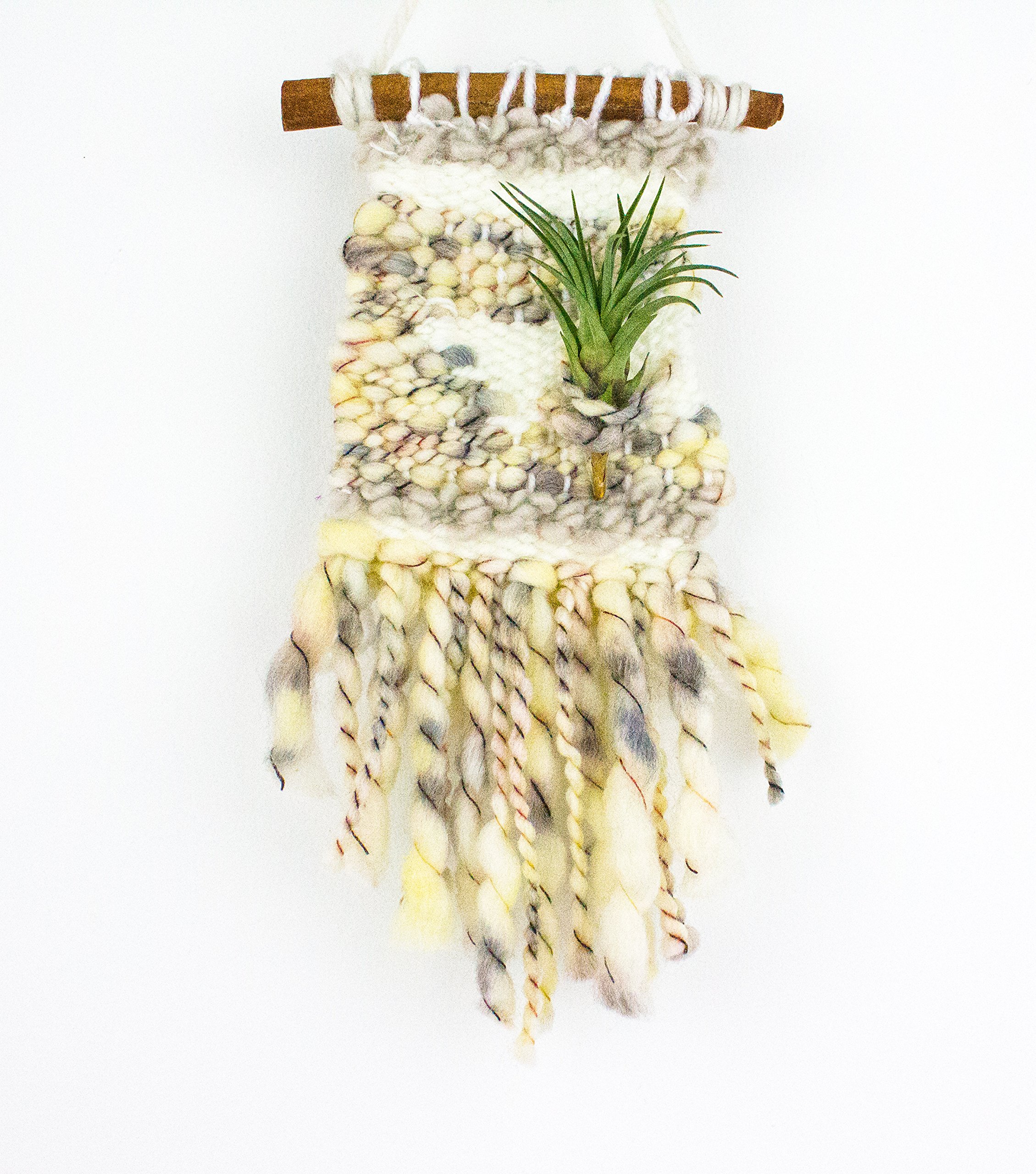 Mini Woven Tapestry Air Plant Holder - Handmade Boho Wall Hanging Decor for Tillandsia - Perfect for Home, Office, and Wedding Decorations