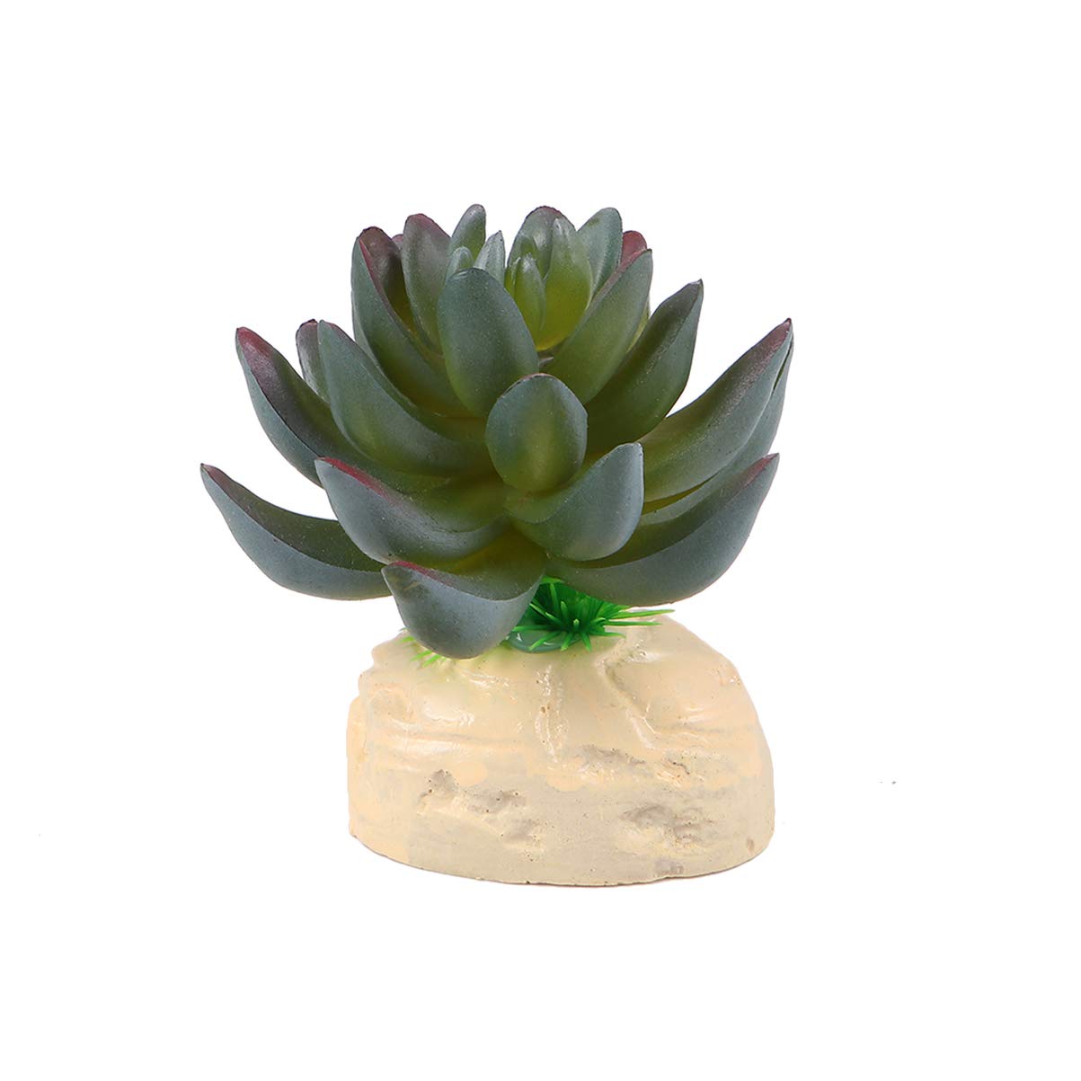 POPETPOP Artificial Aquarium Plants - Realistic Succulent Fish Tank Decor for Freshwater & Saltwater Aquariums - Perfect for Aquascaping, Betta Fish Tanks, and Home Office Decor
