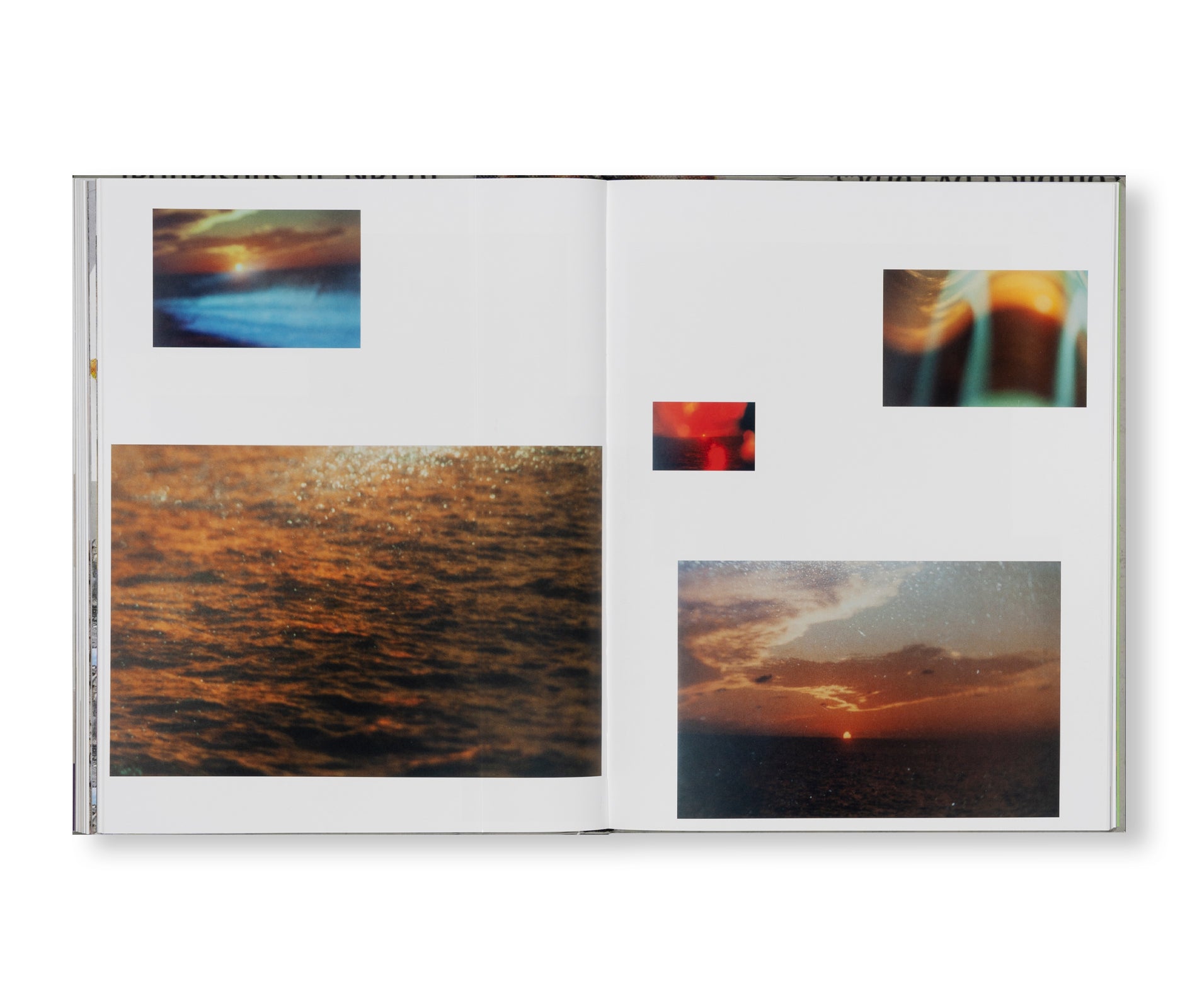 RACHEL HARRISON: FAKE TITLE Art Book by Rachel Harrison - Contemporary Art Collection for Home Decor & Artist Inspiration