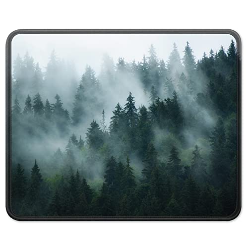 Natural Forest