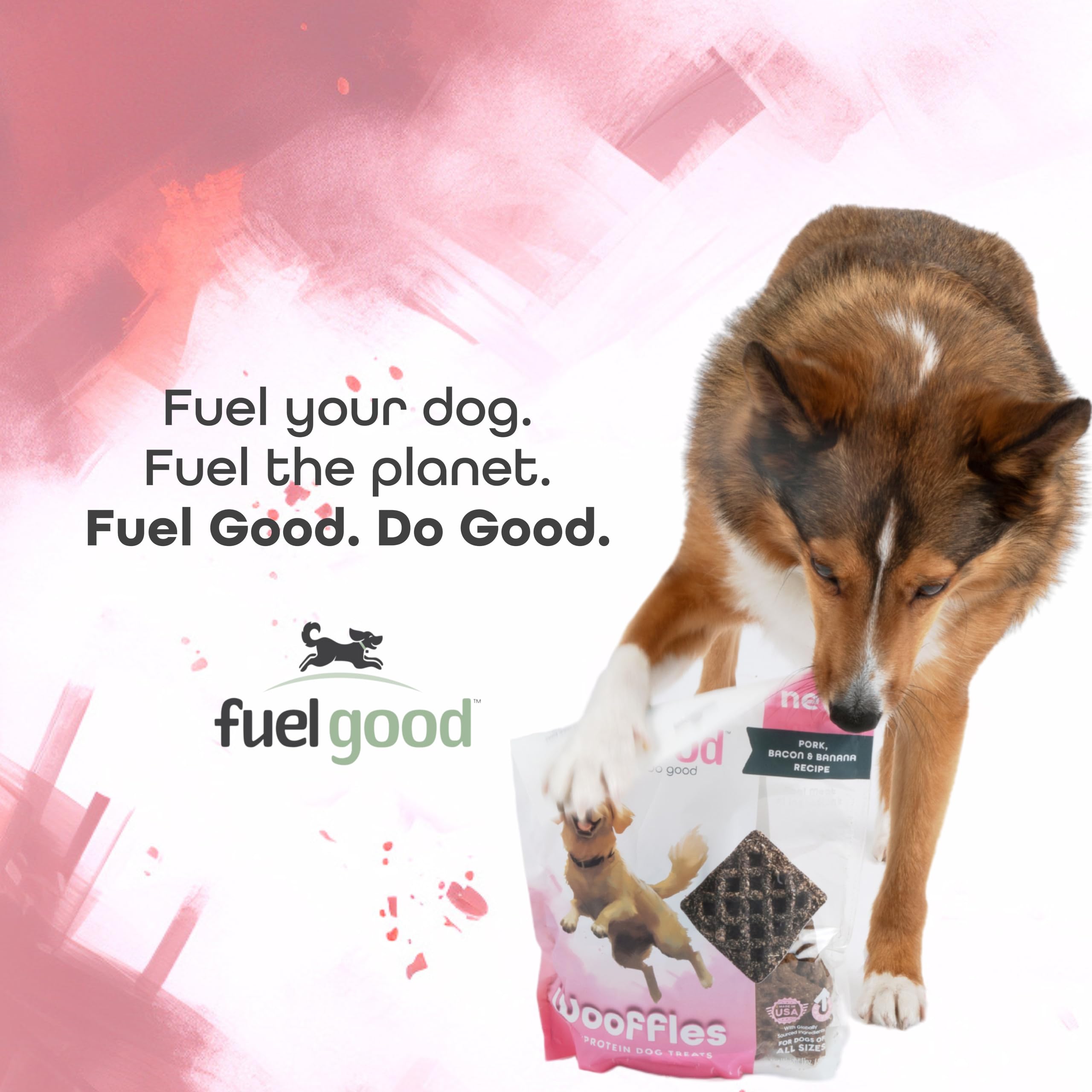 Premium High Protein Dog Treats - Grain Free, All Natural Pork, Bacon & Banana Recipe (11oz) - Healthy Training Snacks for Small & Large Breeds - Perfect for Obedience Training & Positive Reinforcement - Great for Hiking, Travel, Daily Rewards & Outdoor Adventures with Your Dog