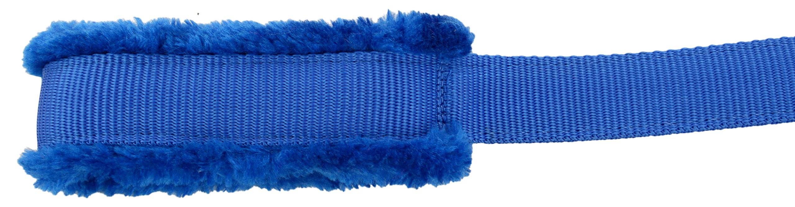 Skora Spike Dog Collar & Leash Set - 1.25 Inch Wide Large Blue Studded Pet Collar with Matching Leash for Medium to Large Dogs | Perfect for Walking, Training & Outdoor Adventures