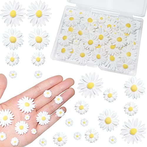 Daisy