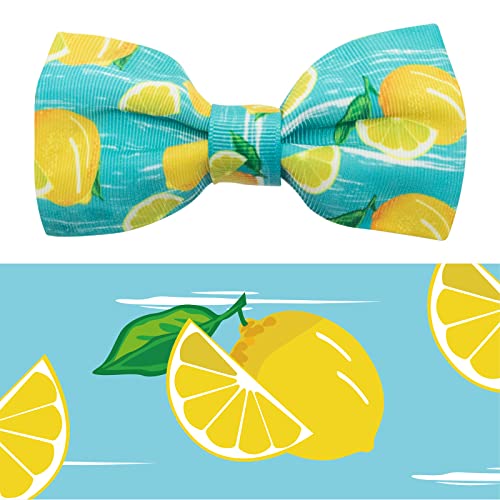 C#Fruit-Lemon