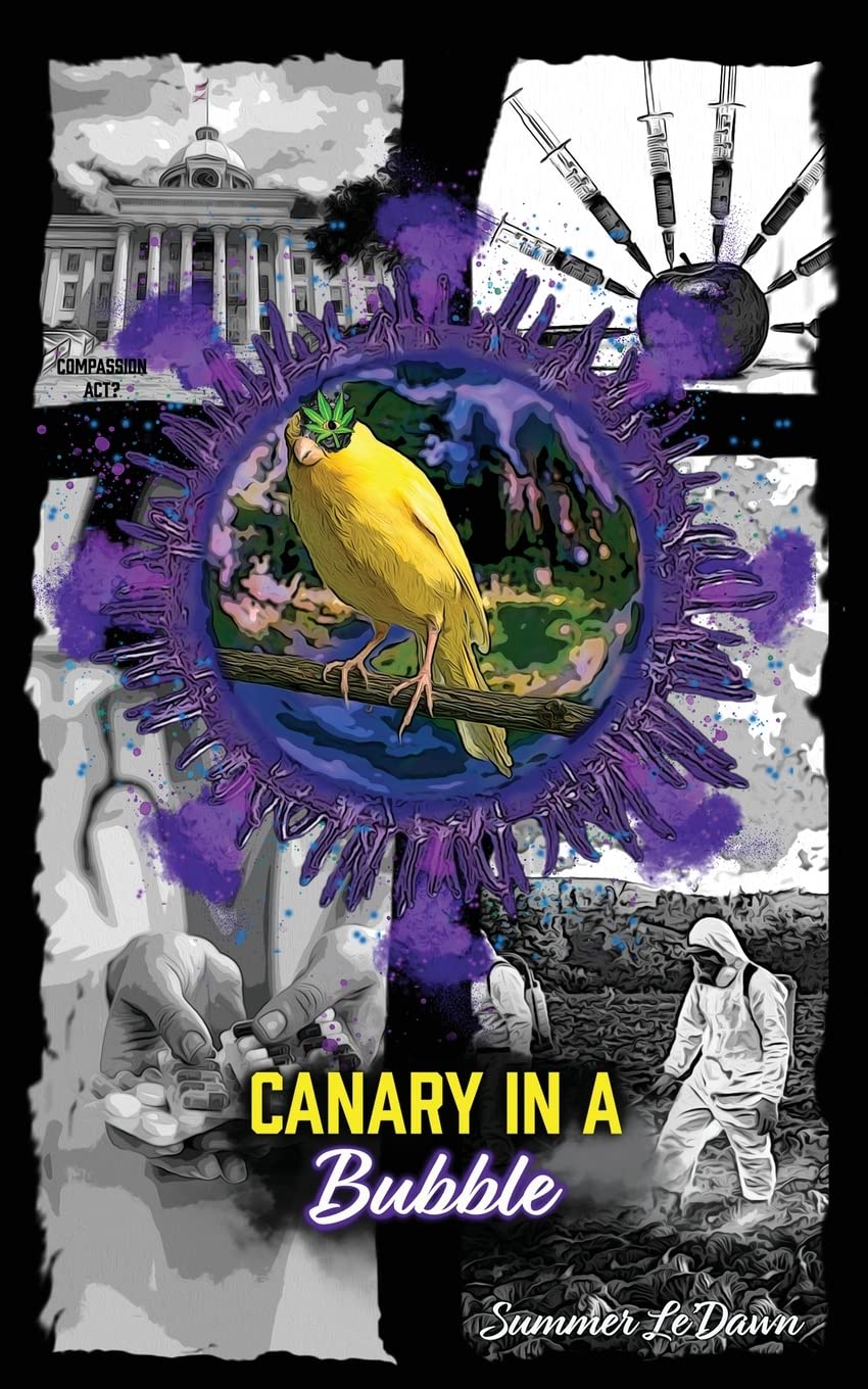 Canary in a Bubble - Unique Glass Paperweight & Decorative Gift for Home Office - Perfect for Desk Decor, Collector's Item & Thoughtful Present