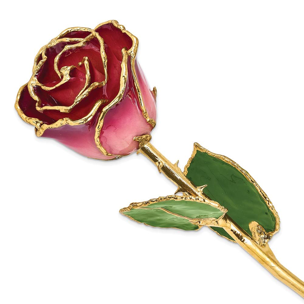 24K Gold Trim Pink & Burgundy Lacquered Genuine Rose in Gift Box - Long Stem Dipped Roses for Anniversary, Valentine's Day & Romantic Gifts
