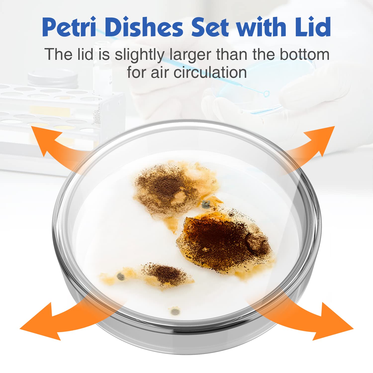 60mm Glass Petri Dishes with Lids - 10 Pack Autoclavable Lab Petri Plates with Inoculation Loop | Reusable Culture Dishes for Agar Plates, Mushroom Cultivation & Science Experiments | Perfect for Microbiology Labs, School Projects & Home Science Kits