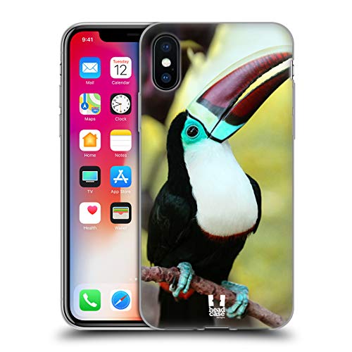 White Throated Toucan