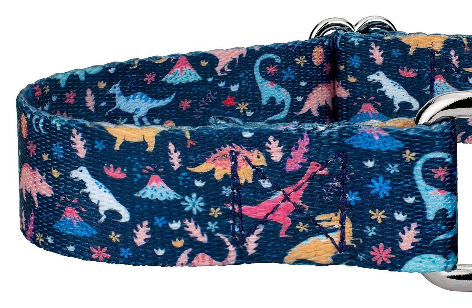Dinosaurs Martingale Dog Collar and Leash Set - Adjustable Pet Collar with Dinosaur Print for Small Dogs (1/2 Inch, 2XS) - Perfect for Walks, Training, and Costume Parties