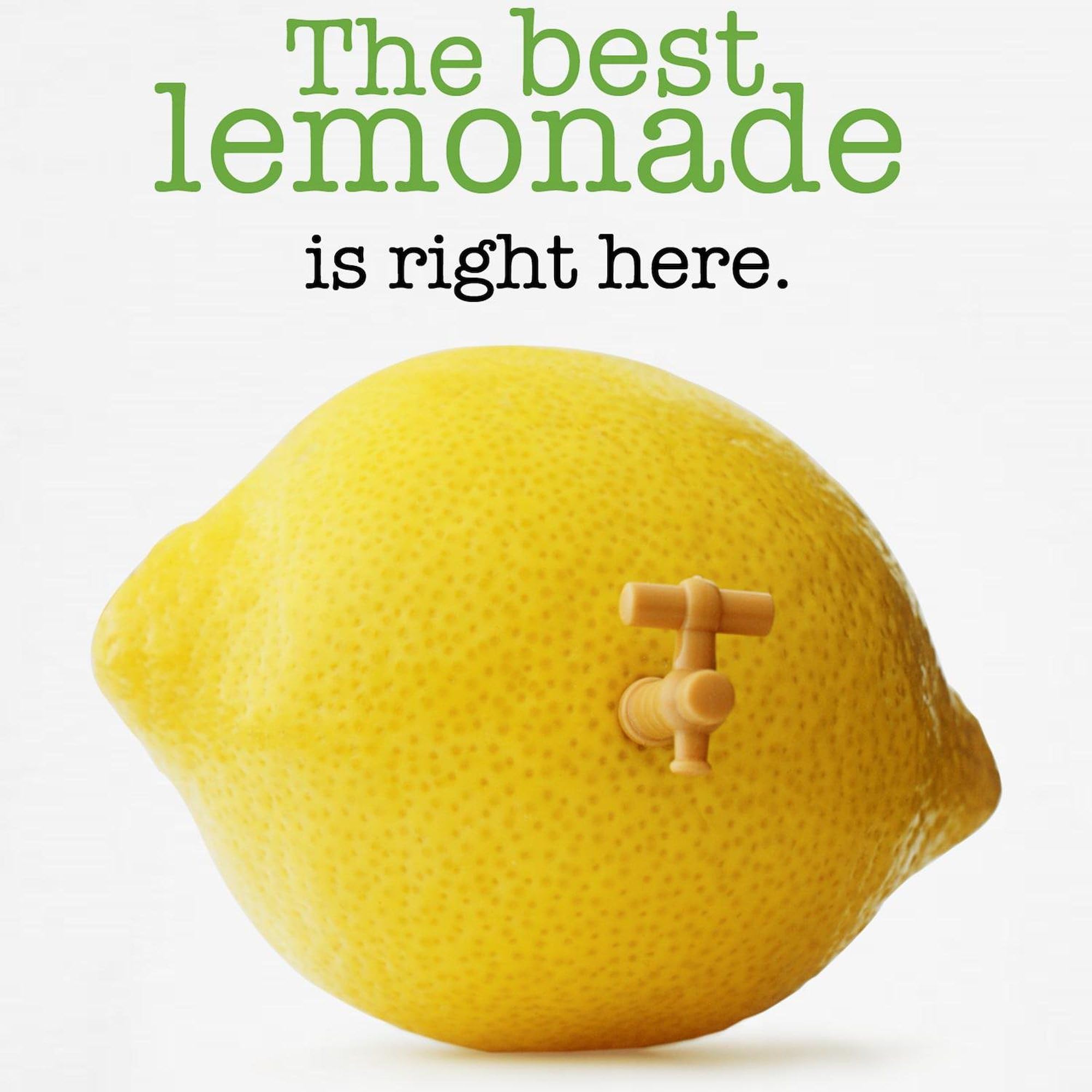 Funny Lemonade Dog T-Shirt - Cute Pet Clothing & Costume for Dogs - Perfect for Summer Parties, Pet Parades & Photo Shoots