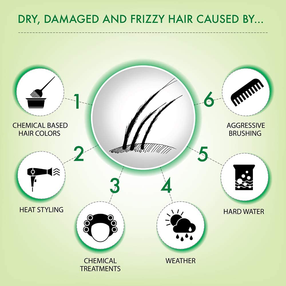 Professional Plant Keratin Protein Shampoo for Hair Smoothing & Repair - Hydrating Moisturizing Treatment for Dry, Frizzy, Damaged Hair - Sulfate Free & Paraben Free - Women's Hair Care (230ml) - Perfect for Daily Use & Salon-Quality Results at Home