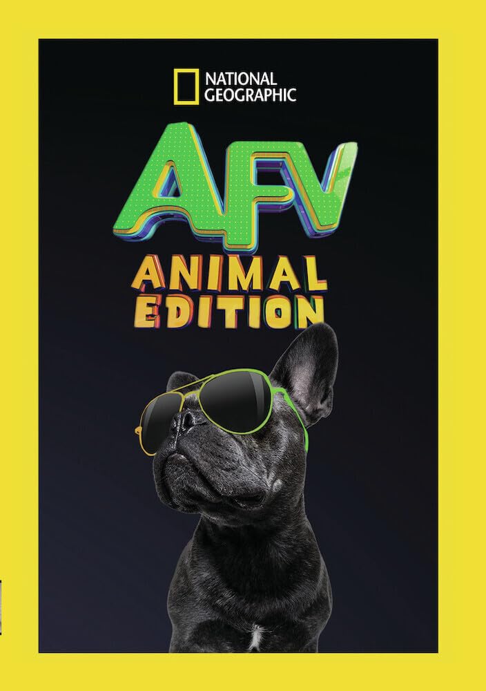 Funny Animal Videos Compilation - America's Best Pet Clips for Laughs & Entertainment | Perfect for Family Fun & Stress Relief