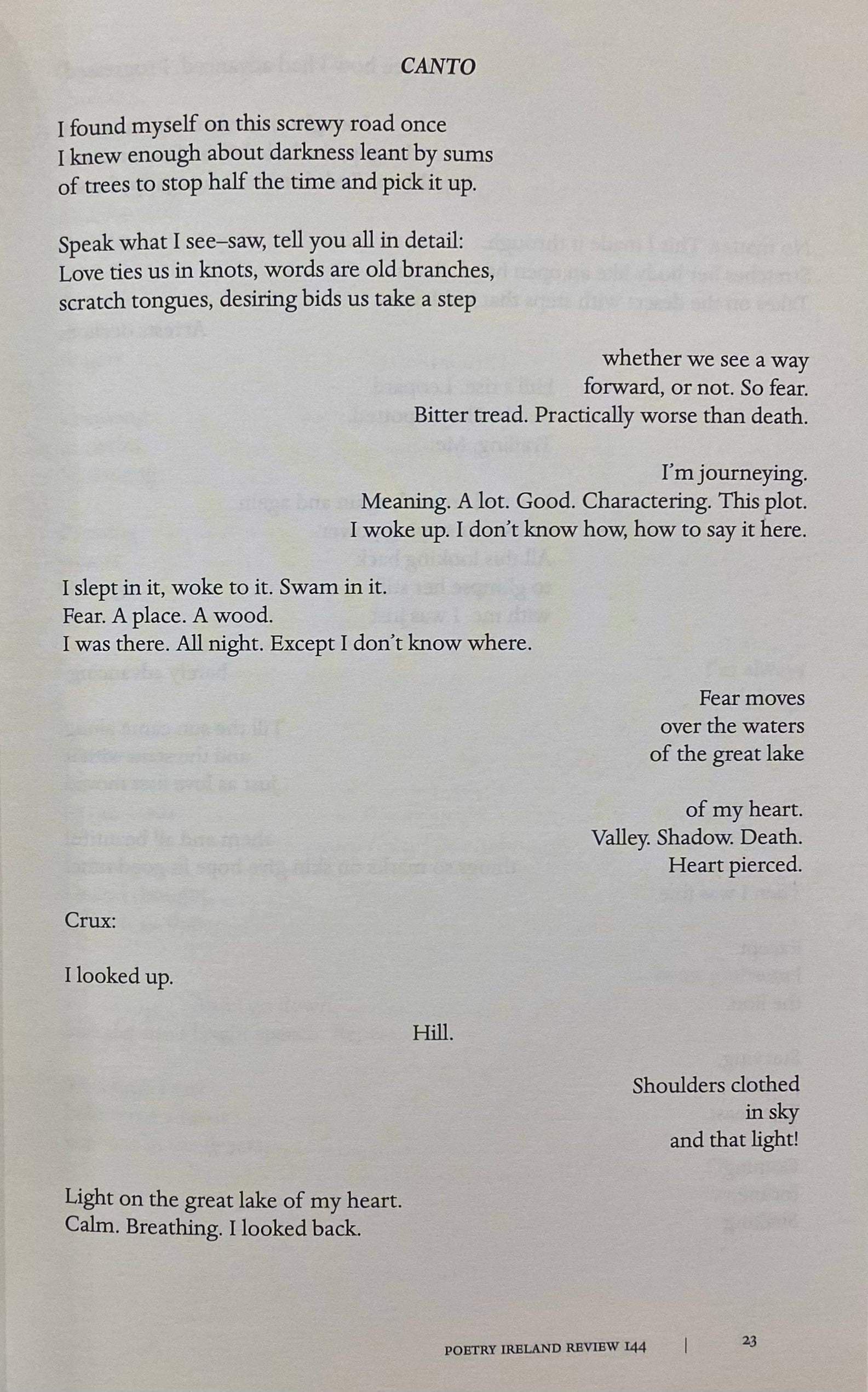 Poetry Ireland Review Issue 144 - Contemporary Irish Poetry Collection | Perfect for Literature Lovers & Poetry Enthusiasts