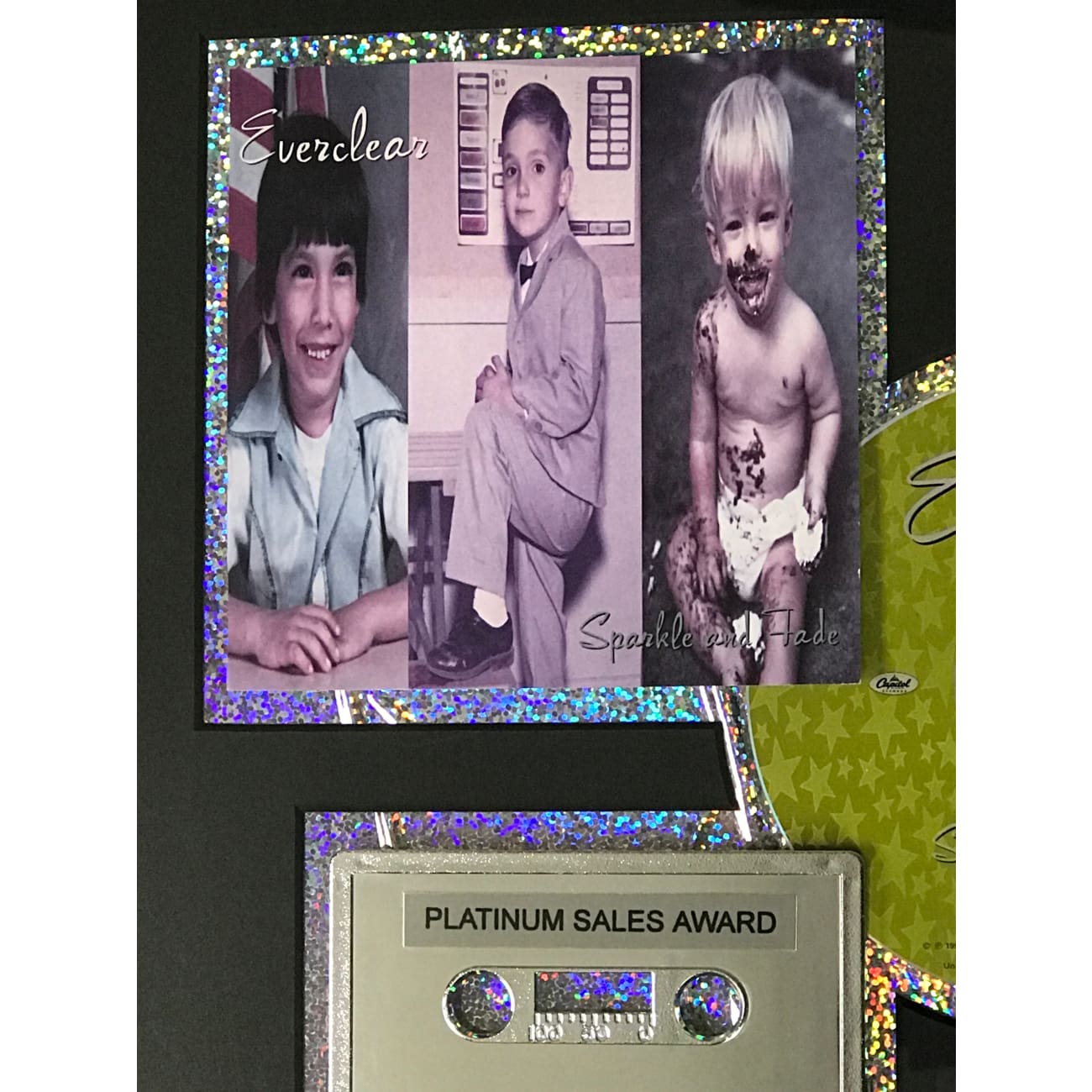 Everclear Sparkle And Fade RIAA Platinum Album Award - Official Music Recognition Plaque - Perfect for Music Collectors, Fan Displays & Recording Studio Decor
