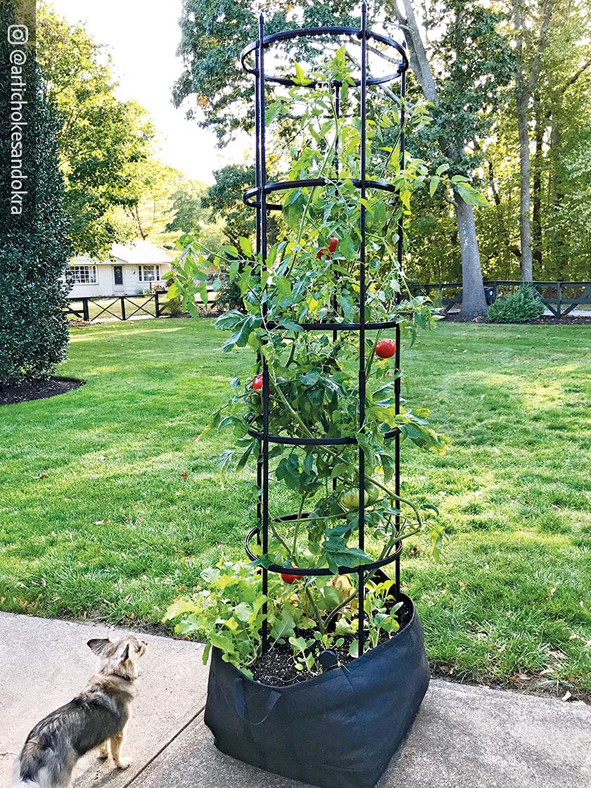 Titan Self-Watering Tomato Planter with Trellis - All-in-One Tomato Growing Kit | Includes Grow Bag, Trellis & Watering Inserts | Perfect for Patio, Balcony & Home Gardening | Large Capacity for Healthy Tomato Plants