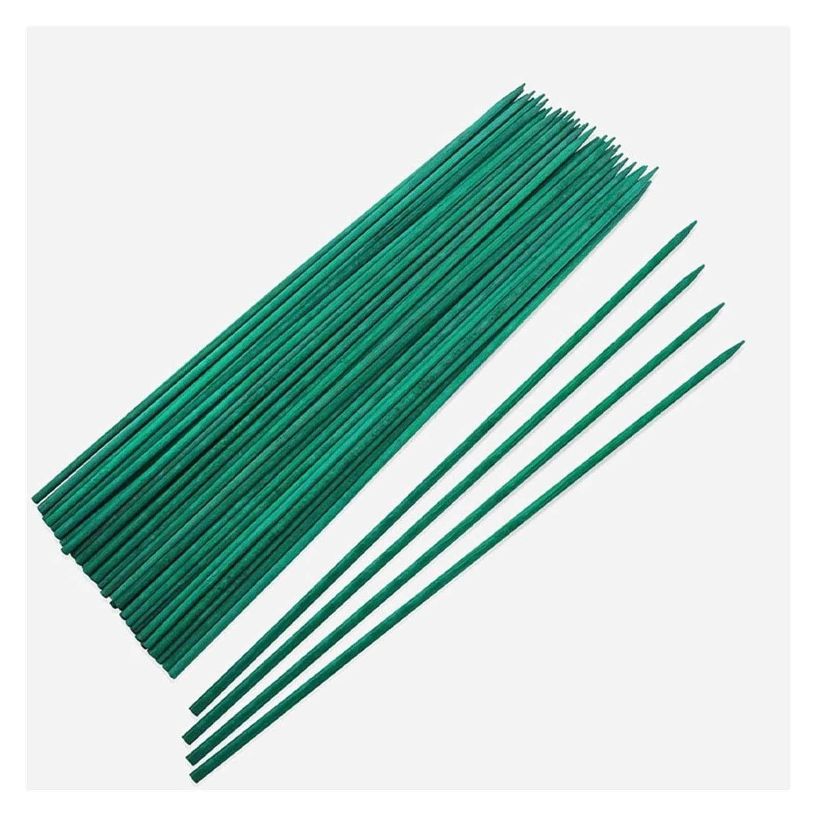 10pcs Bamboo Plant Stakes - Garden Ties for Floral Arrangements, Vegetable Support, and Green Plant Stakes | Perfect for Tomato Plants, Climbing Flowers, and Indoor/Outdoor Gardening