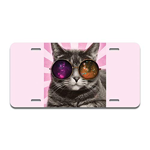 Galaxy Cat