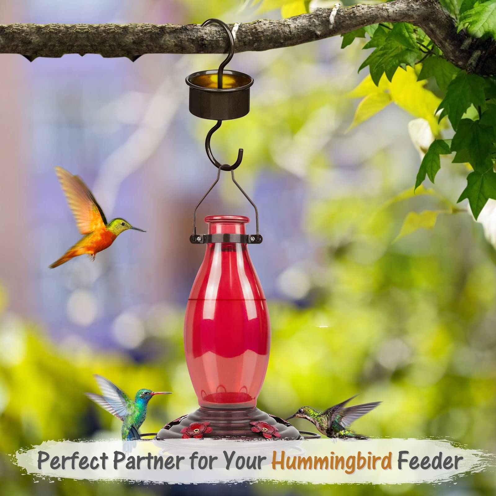 BOLITE Ant Moats for Hummingbird Feeders - 2 Pack Bronze Hanging Ant Moat Accessories | Prevent Ants from Reaching Hummingbird Nectar - Perfect for Outdoor Bird Feeders & Garden Decor