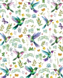 Hummingbird5