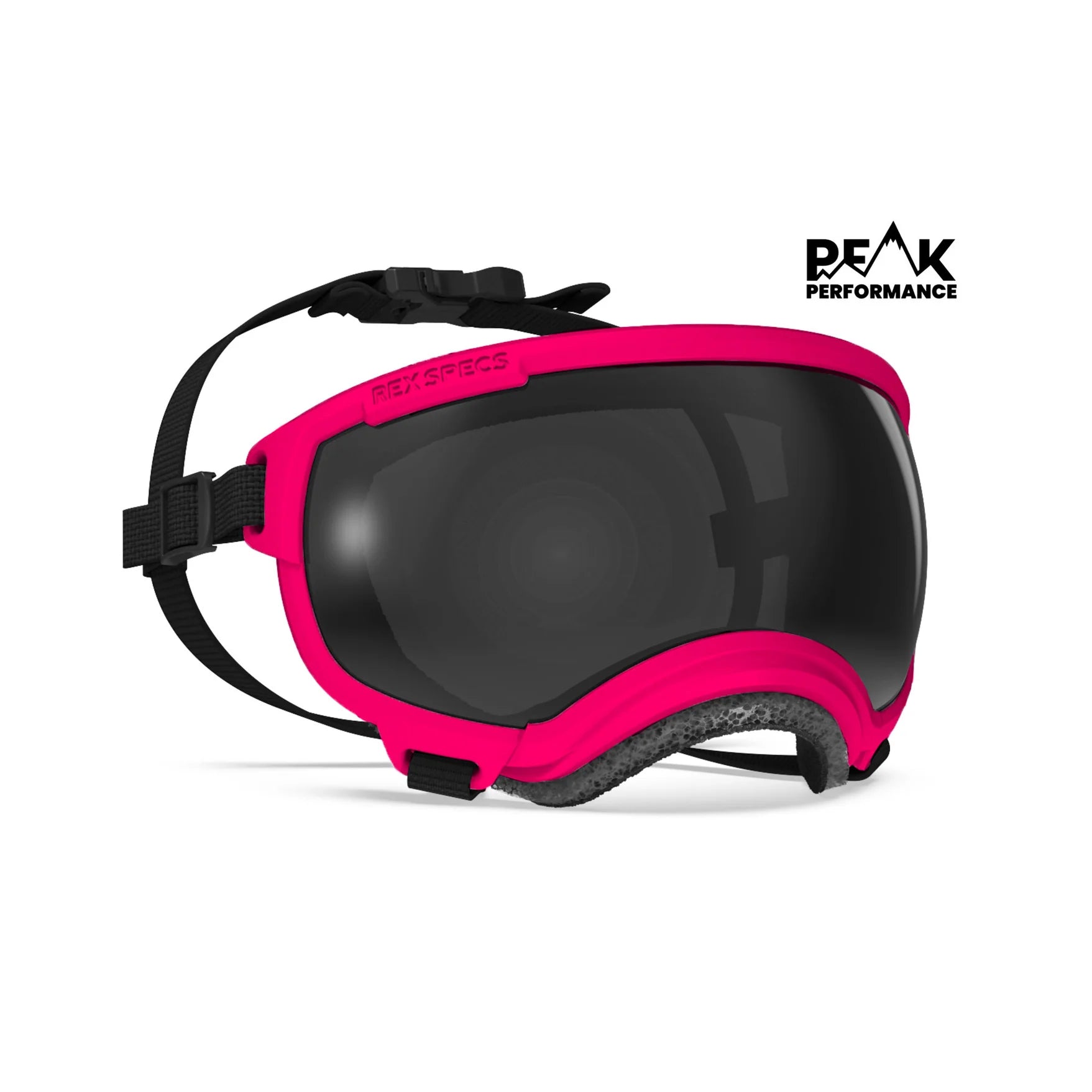 Rex Specs V2 Dog Goggles for Small Dogs 4.5 to 12 kg - Protective Eyewear for Active Pets, Hiking & Outdoor Adventures