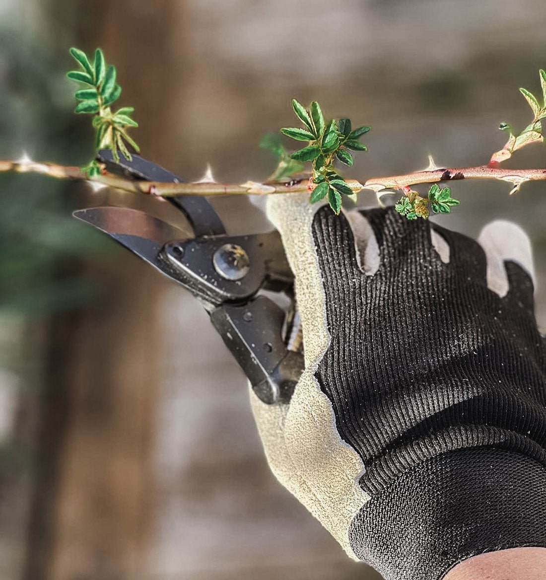 Premium Garden Pruning Shears - Sharp Bypass Secateurs for Trimming, Cutting, and Shaping Plants - Ideal for Gardening, Landscaping, and Outdoor Use
