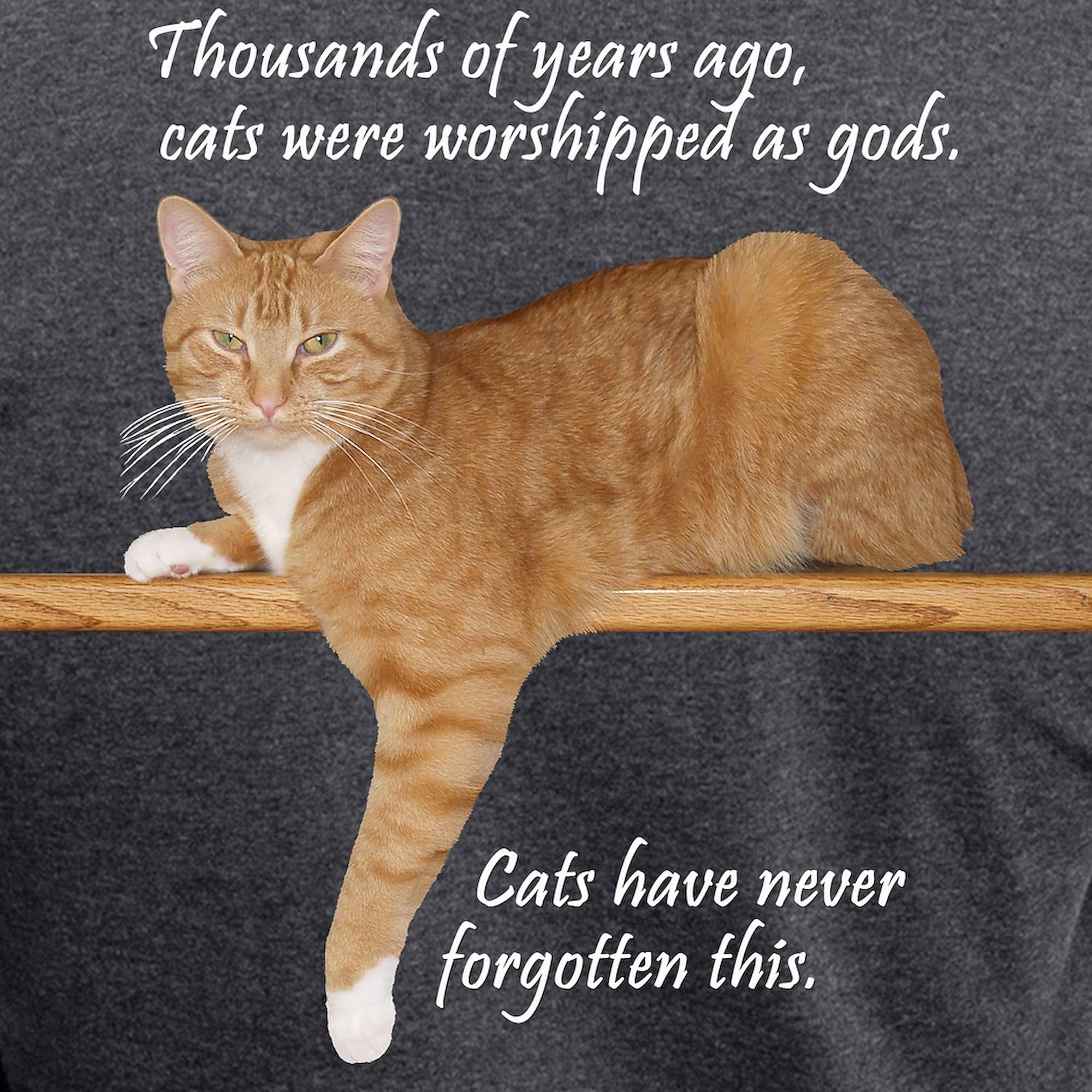 Orange Cat Ginger Kitty Women's Charcoal Pajama Set - Cozy & Cute Novelty Sleepwear for Cat Lovers | Perfect for Lounging, Sleepovers & Relaxing at Home