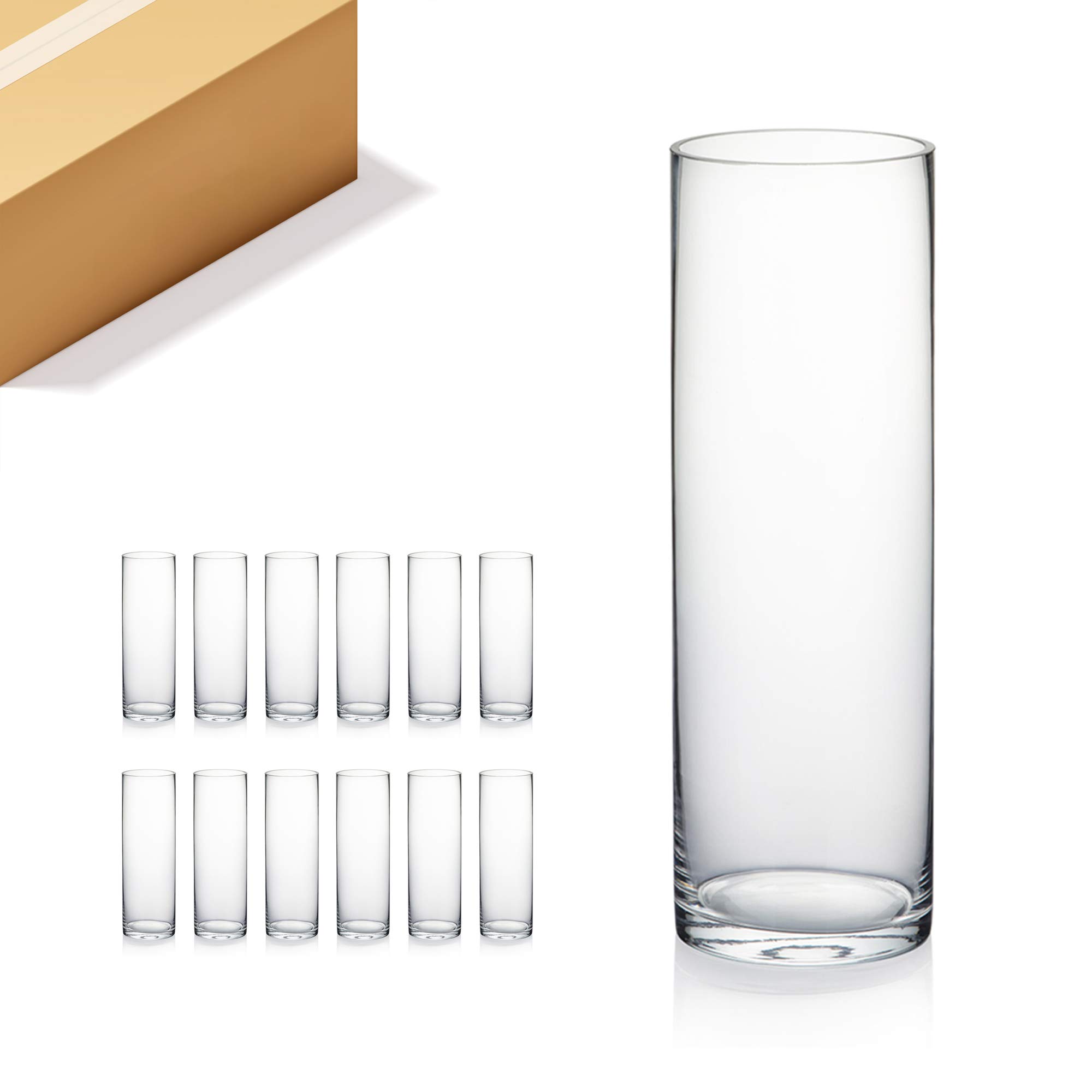 Premium Clear Glass Cylinder Vases - 4