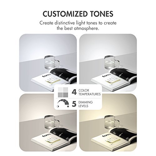 Tenergy 2-in-1 LED Floor & Desk Lamp - Dimmable 2000 Lumens Task Light with 60-Min Timer, Flexible Gooseneck & Touch Control - Perfect for Reading, Crafting, Home Office & Nightstand Lighting