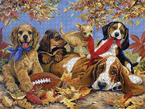 823-cute Pets