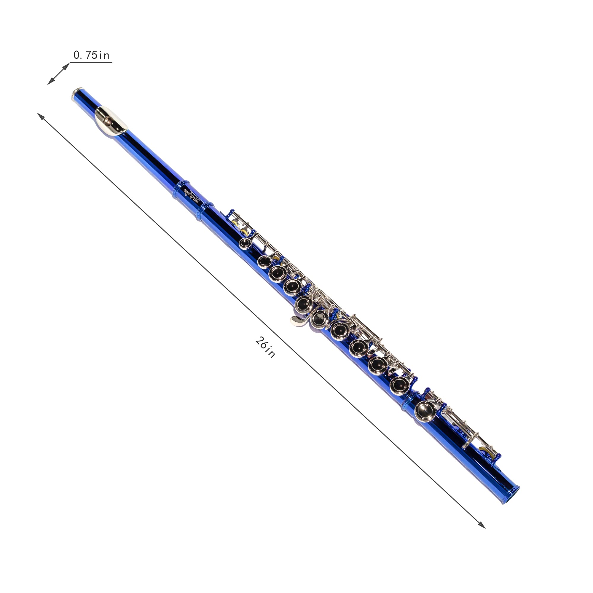 LeSage 16-Key Closed Hole C Flute for Beginners - Blue Student Flute with Case, Cleaning Cloth & Maintenance Kit (C Foot, Offset G, Y-Arm) - Perfect for School Bands, Music Lessons & Practice