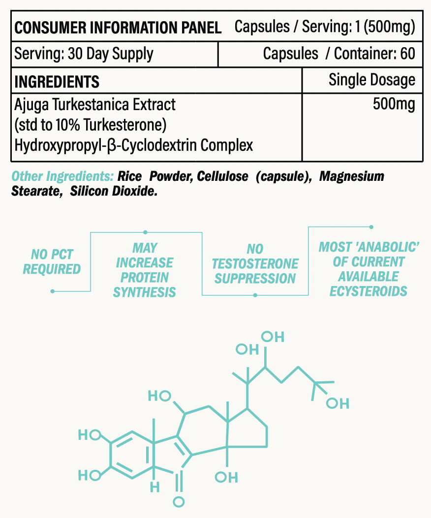 Premium Turkesterone Supplement for Athletes & Bodybuilders - Natural Muscle Growth & Performance Booster - Ideal for Pre-Workout & Post-Training Recovery
