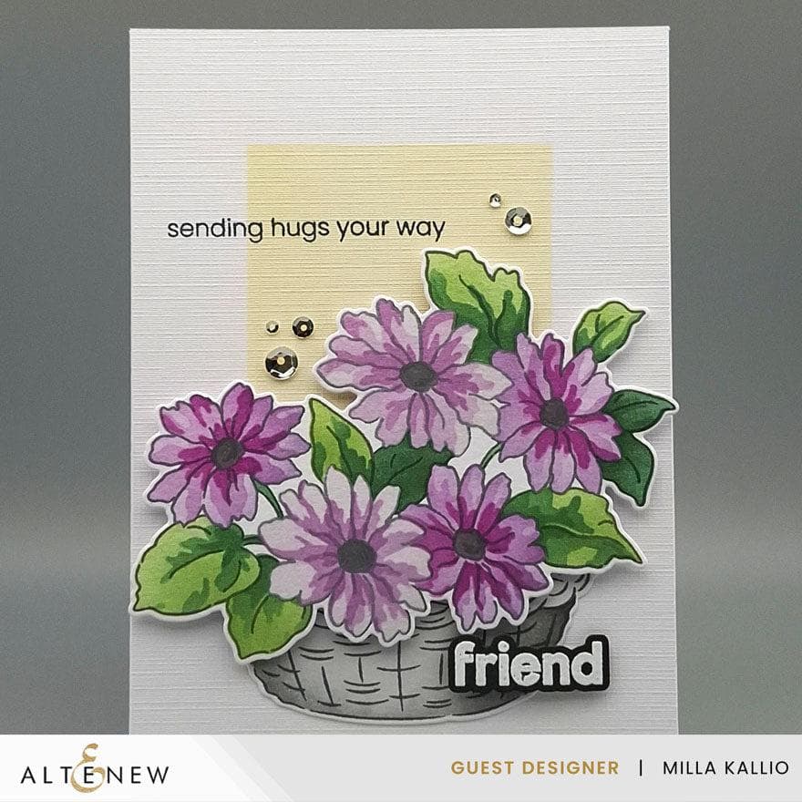 Build A Garden: Radiant Blossoms Flower Seeds Kit - Grow Beautiful Blooms for Home Gardening, Landscaping & Outdoor Decor