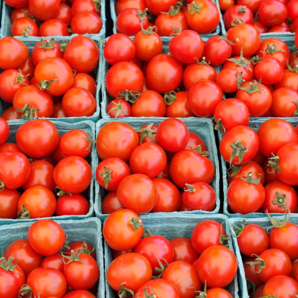 Organic Bing Cherry Tomatoes - Sweet & Juicy Mini Tomatoes for Salads, Snacking & Healthy Recipes