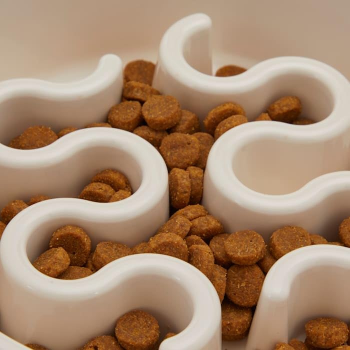 EveryYay Slow Feeder Dog Bowl - 2.5 Cup Capacity - Anti-Gulping White Pet Dish for Fast Eaters - Perfect for Mealtime Enrichment & Digestion Aid